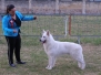 Best in Show Expo Regionale di Forlì del 07.06.2015