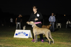 Campionato Sociale 28052016
