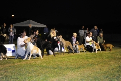 Campionato Sociale 28052016
