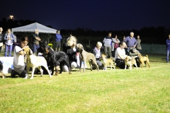 Campionato Sociale 28052016