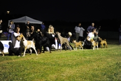 Campionato Sociale 28052016